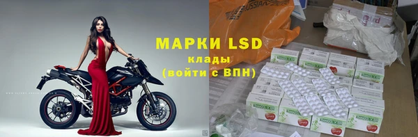 гашиш Богданович