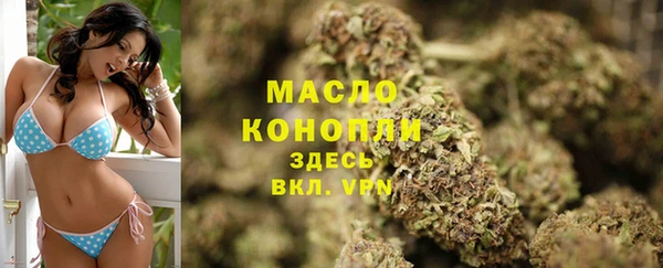 гашиш Богданович