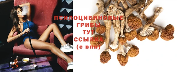 гашиш Богданович