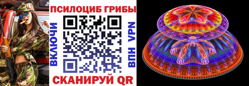 Купить закладки  Фокино  Псилоцибиновые грибы Cubensis 